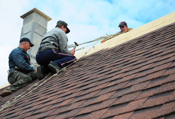 Best Roof Maintenance Services  in Gibsonville, NC